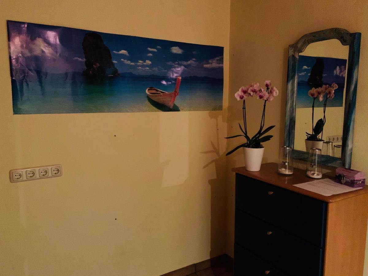 Maja Ferienwohnung Goddelsheim 外观 照片